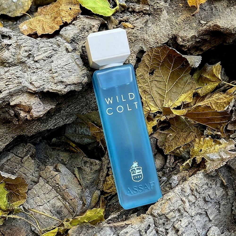 عطر وايلد كولت